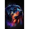 Rottweiler Dog Galaxy