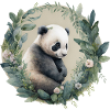 Panda mit Eukalyptus