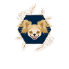 Golden Dog Chihuahua