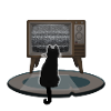 Poltergeist Katze