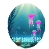Great Barrier Reef australia