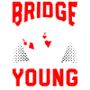 Bridge Player Bridge Kortspil Ekspert