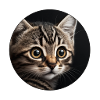 süßes Tabby-Kätzchen mit großen Augen