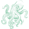 Cephalopods cephalopods octopus my inspiration