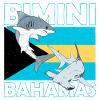 Bimini Bahamas flag