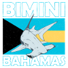 Bimini Bahamas hammerhead shark