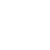 Triebfahrzeugführer Lokführer Train Driver