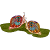 Snails