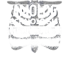 Radiology, radiologist