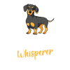 Maman teckel mignonne