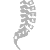 Osteopath 2023