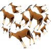 Herz Antilope