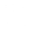 Martial arts