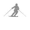 Ski