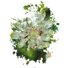 Blumen