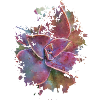 Pflanze