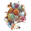 Muscheln