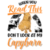 Capybara Gift Capibara capybara