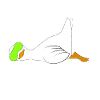 duck funny lazy saying
