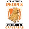 Capybara Cadeau Capibara
