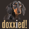 Doxxied Bild PBLBBDG