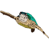 Sea turtle