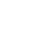 Édition limitée 1965