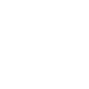 Limited Edition 1966