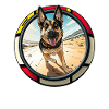 Dogs German Shepherd Dog lovers
