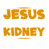 Lebertransplantation Organspender Design