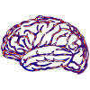 Brain No.01 - Design D