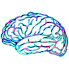 Brain No.01 - Design A