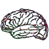 Brain No.01 - Design B