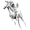 Pferd
