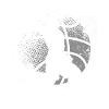 Joueurs de basket-ball
