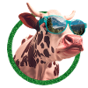 cool cow wearing sunglasses