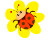 Ladybird