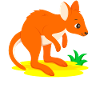 Kangaroo Baby