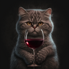 Die Chat'Cool'ique | Geschenkidee