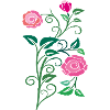 Roses, Garden