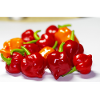 Habanero 2
