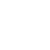 Satoshi Nakamoto BTC