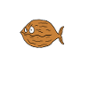 Walnuss