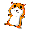 Cute guinea pig
