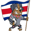 Costa Rica Fan Dog