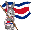 Lapin du Costa Rica