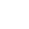 Crazy Skater