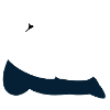 Cygne