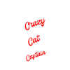 Catamaran Captain Sailing Sailboat