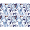Feline!